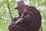 FOTO | Tai ciuperca sau o scoți întreagă din pământ? / Cum se culeg și se păstrează corect ciupercile de pădure / Florin Bustan explică de ce coșul de nuiele este cea mai bună alegere