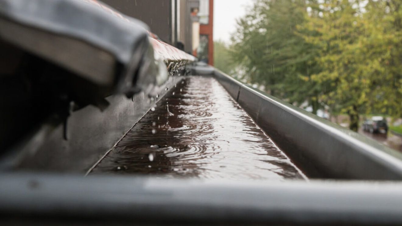 Deși ar fi o sursă gratuită de apă pentru udarea legumelor, românii nu cumpără sisteme de colectare a apei pluviale / Reprezentant firmă: Oamenii nu sunt educați. În străinătate, toate casele au un rezervor, aici încă nu