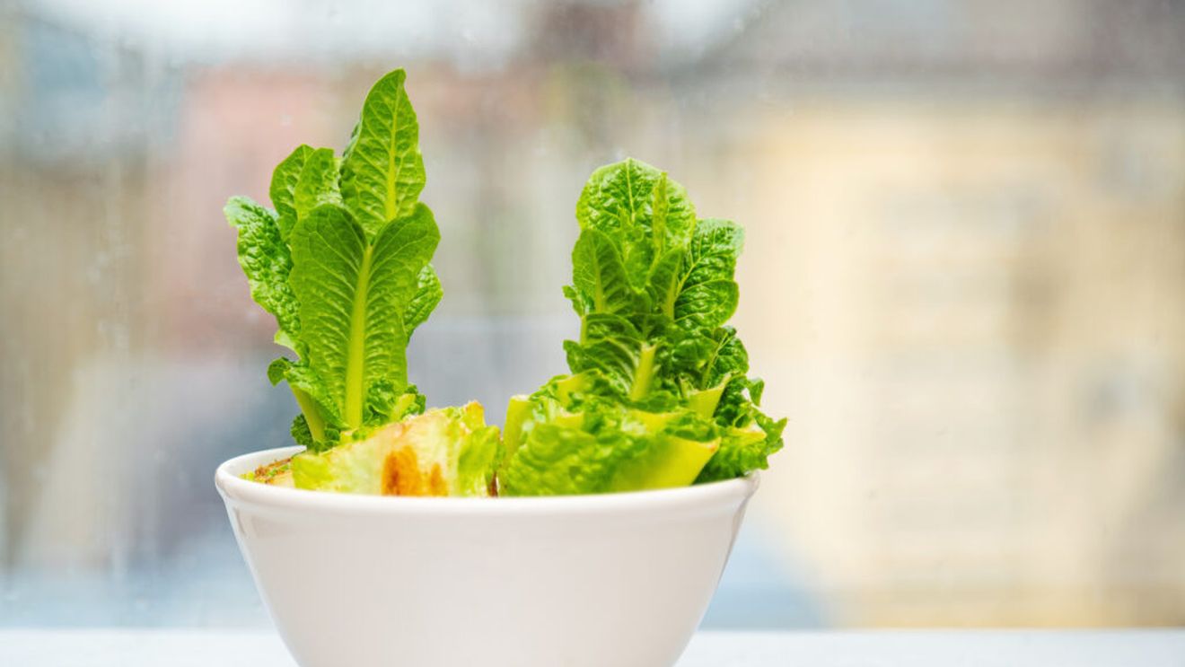 Resturile alimentare care se pot transforma în legume noi / Cum poți regenera anumite plante la tine acasa