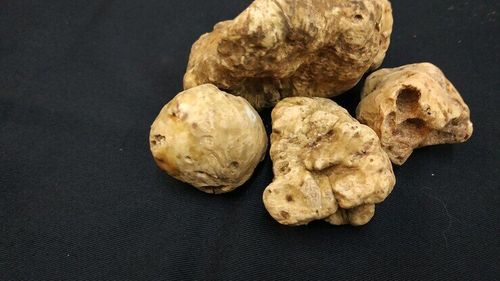 Trufele gigantice și ritualul legendarelor licitații din Piemonte, Italia: o trufă albă adjudecată la prețul unui apartament de lux /„Cine vrea paste cu trufe, și le aduce în buzunar, eu nu îmi mai permit”