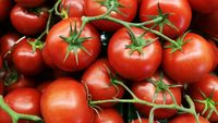 Secretul roșiilor gustoase și zemoase. „Regula de aur” pe care o recomandă cultivatorii italieni