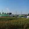 ANALIZA/ Industria lactatelor din SUA își triplează capacitatea de producție a biogazului/ Investițiile s-au ridicat la aproape 4 miliarde de dolari în ultimii 5 ani/