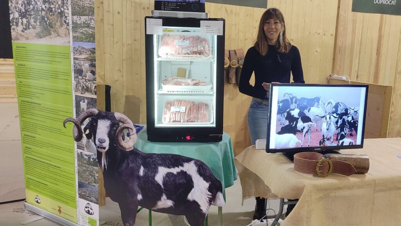 VIDEO | Sunt crescute doar pentru carne și pasc în libertate, în pădure/ Caprele din specia Rasquera seamănă cu cele sălbatice, au coarne lungi pentru a se putea strecura printre arbori și boscheți, iar carnea lor este o delicatesă