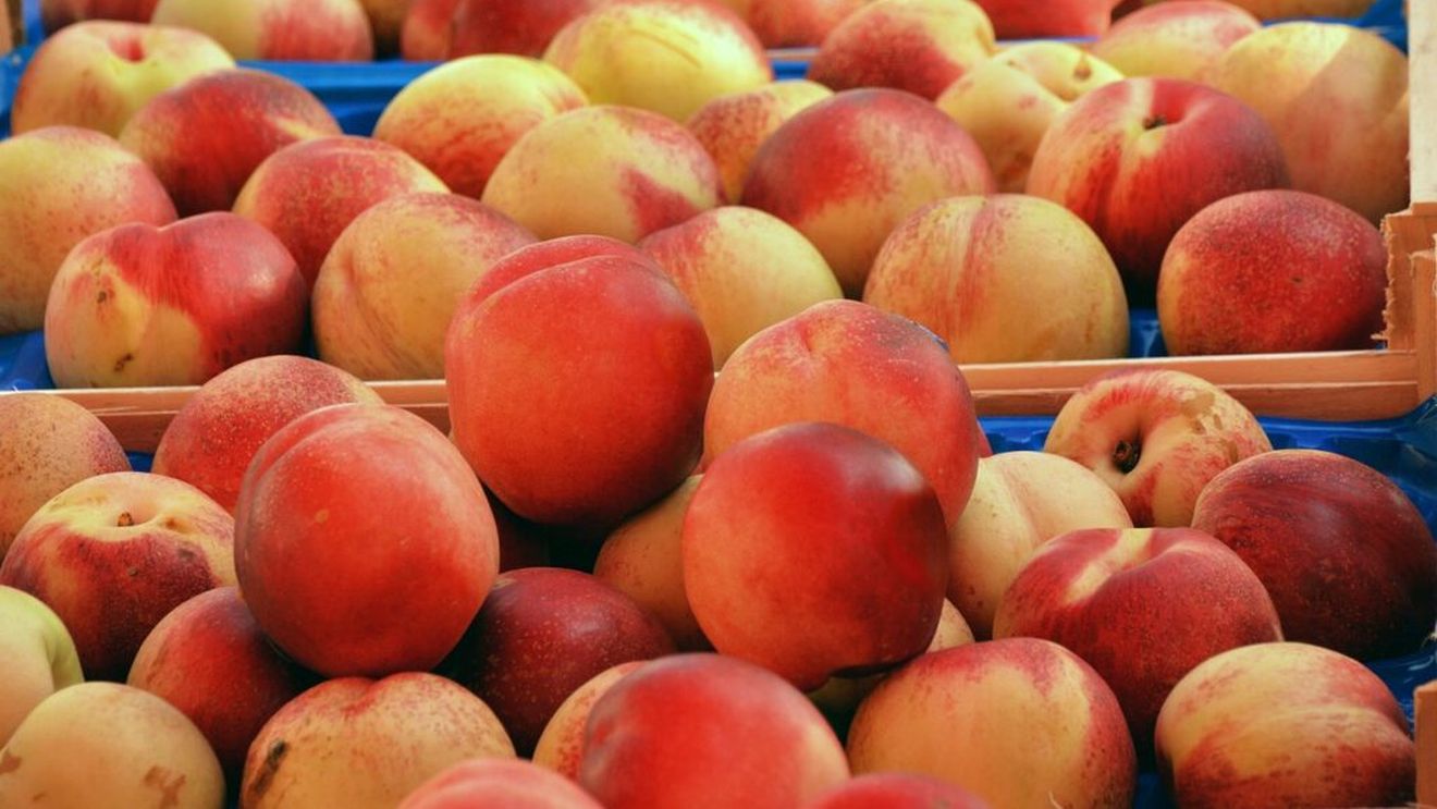 Piersici din Egipt, depistate cu reziduuri de pesticide peste nivelul legal / România a transmis rezultatele analizelor în Sistemul Rapid de Alertă pentru Alimente și Furaje