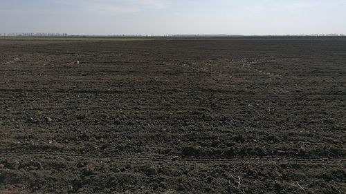 Sacrificat pentru interesele baronului de Olt Paul Stănescu? Șeful APIA,  demis de ministrul Agriculturii