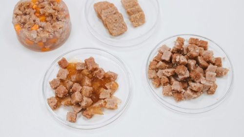 Carne de sinteză pentru mâncarea de câini și pisici. Un startup din Cehia a primit autorizație UE, prima la nivel mondial