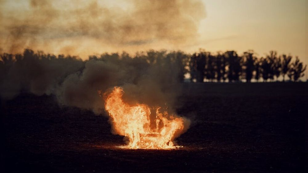 Anchetă la Tulcea după ce zeci de cadavre de ovine au fost incendiate şi îngropate la Babadag