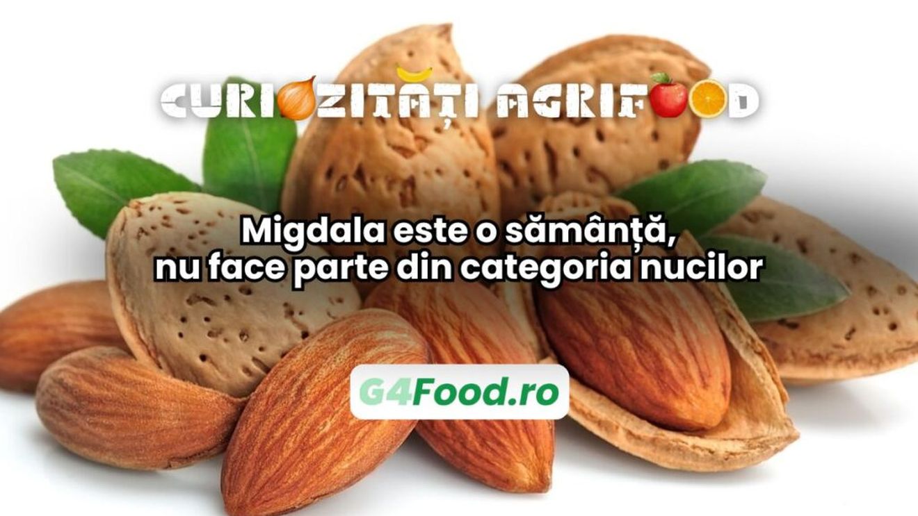 Curiozități agri-food 27 decembrie: Migdala este o sămânță, nu face parte din categoria nucilor