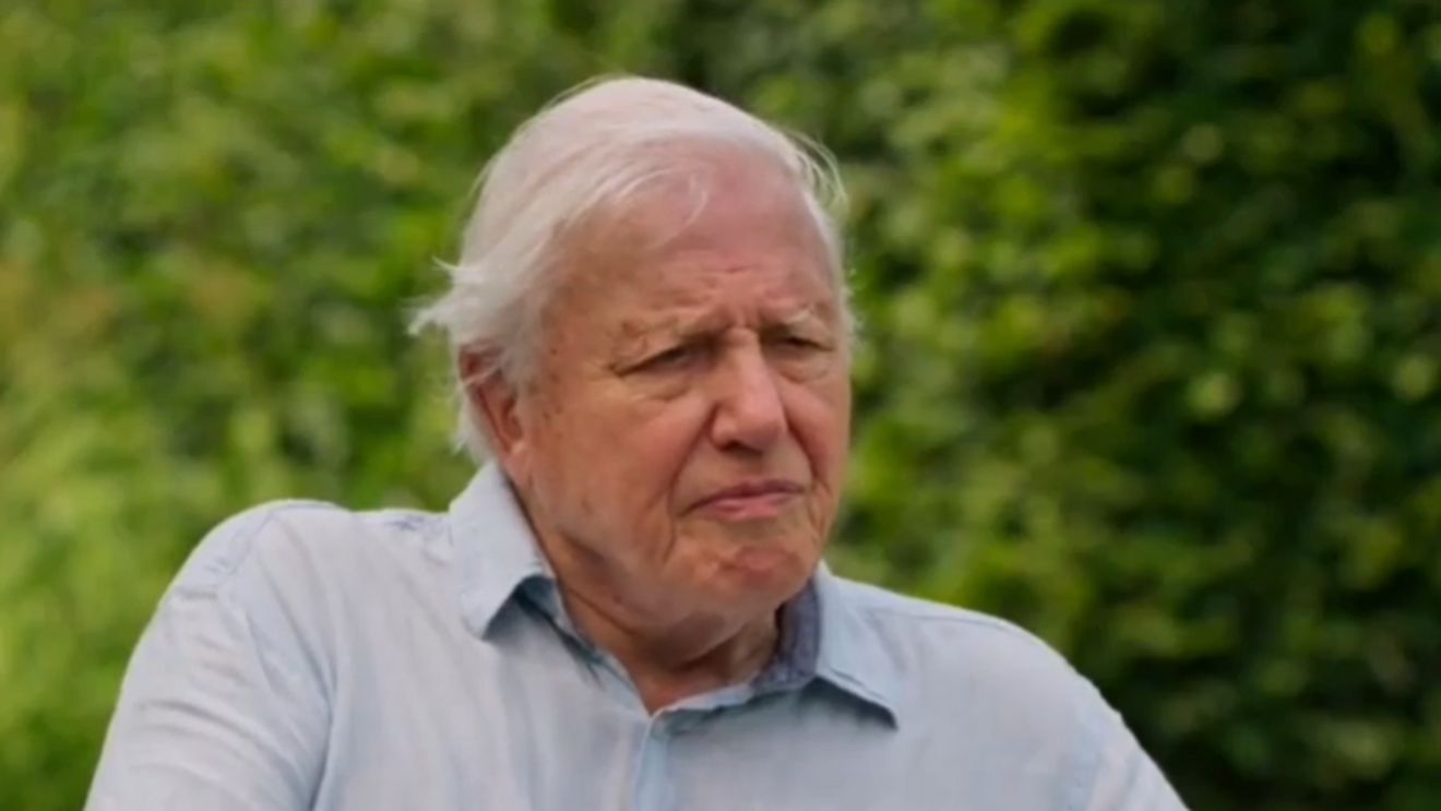 Ce mănâncă Sir David Attenborough la 100 de ani / Naturalistul spune că și-a schimbat complet alimentația: „Am devenit mult mai vegetarian decât credeam că voi fi vreodată”