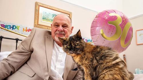 Proprietarul lui Millie, pisica de 30 de ani din Regatul Unit, susține că dieta a ajutat-o să trăiască atât de mult. Ce consumă felina cu echivalentul a „136 de ani umani”?