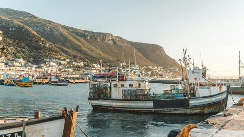 Concluziile reuniunii de la Roma a Comitetului pentru Pescuit al FAO (Organizația Națiunilor Unite pentru Alimentație și Agricultură)