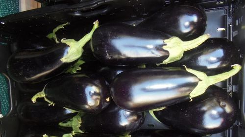 Statisticile groazei: 600 de milioane de oameni se îmbolnăvesc anual din cauza alimentelor alterate sau contaminate, iar 420 000 dintre pacienți decedează;  Cum combate tehnologia avansată fraudele alimentare