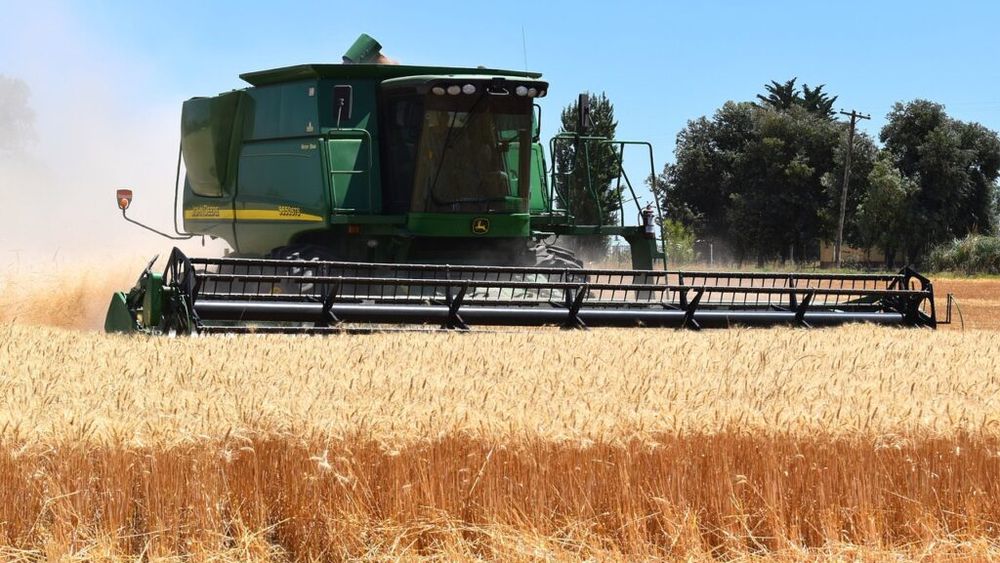 Ucraina începe puternic campania de vară 2025: Peste 7,2 milioane tone de cereale timpurii au fost deja recoltate / Exporturile ucrainene de cereale sunt susceptibile să afecteze fluxurile comerciale în porturile românești, în special la Constanța