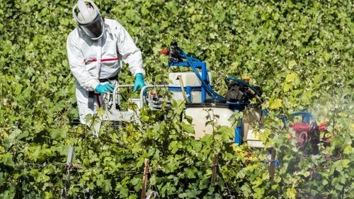 Sute de persoane „incomode pentru industria agrochimică”, înregistrate în baze de date, în Franța/Mass media a dezvăluit că sunt aproximativ 500 de persoane înregistrate