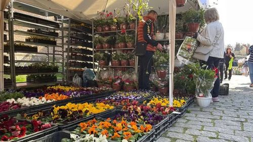 Târgul Grădinarului este organizat la Alba Iulia în weekendul 28-30 martie / Participă producători locali, furnizori de îngrășăminte și comercianți de unelte/ Sfaturi de specialitate în agricultură