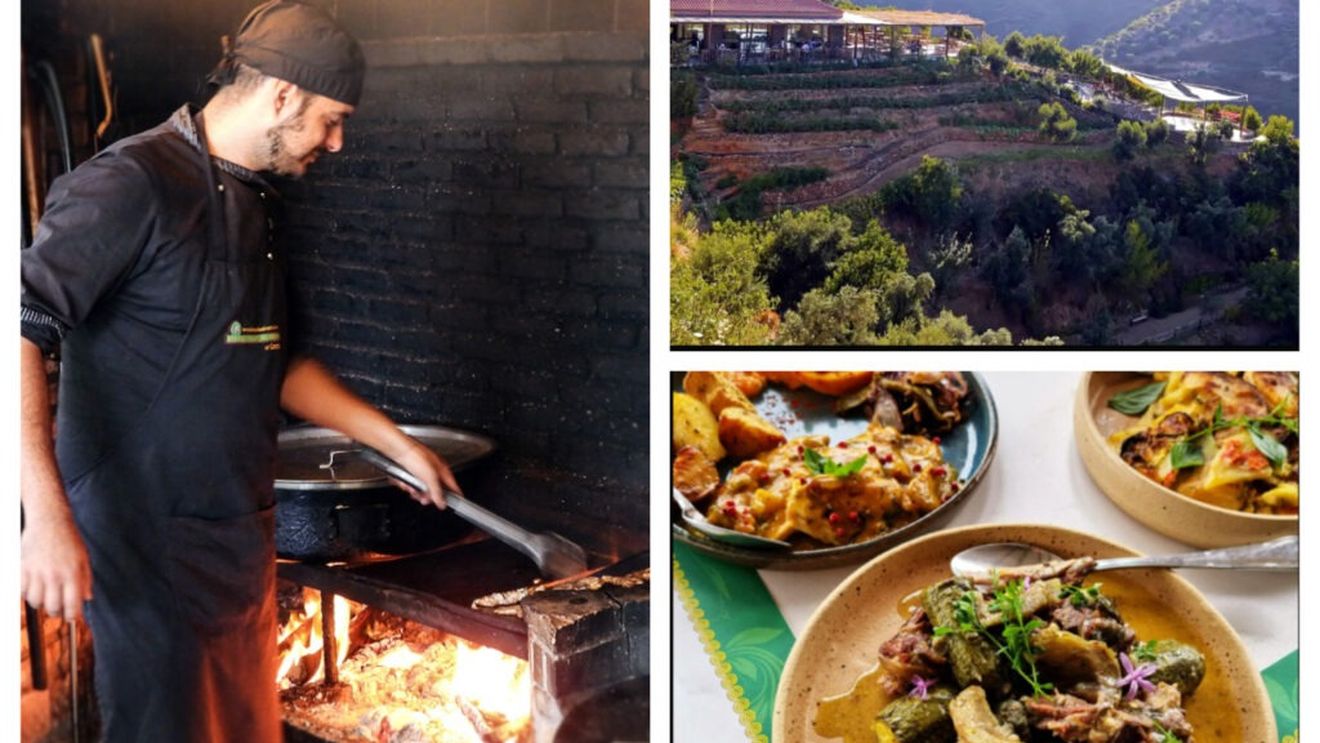 Cei șase piloni ai dietei cretane: Mersul pe jos, consumul exclusiv de fructe și legume de sezon, utilizarea uleiului de măsline, consumul rar de carne, lipsa rețetelor fixe și vinul / Cum a prins viață această „filosofie” în Grădina Botanică a Cretei