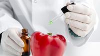 Conservanții alimentari, asociați cu un risc mai mare de cancer și diabet de tip 2, arată două studii ample din Franța / Conservanții alimentari sunt folosiți la scară largă în industrie