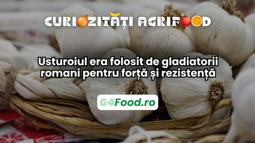 Curiozități agri-food 13 februarie: Usturoiul era folosit de gladiatorii romani pentru forță și rezistență
