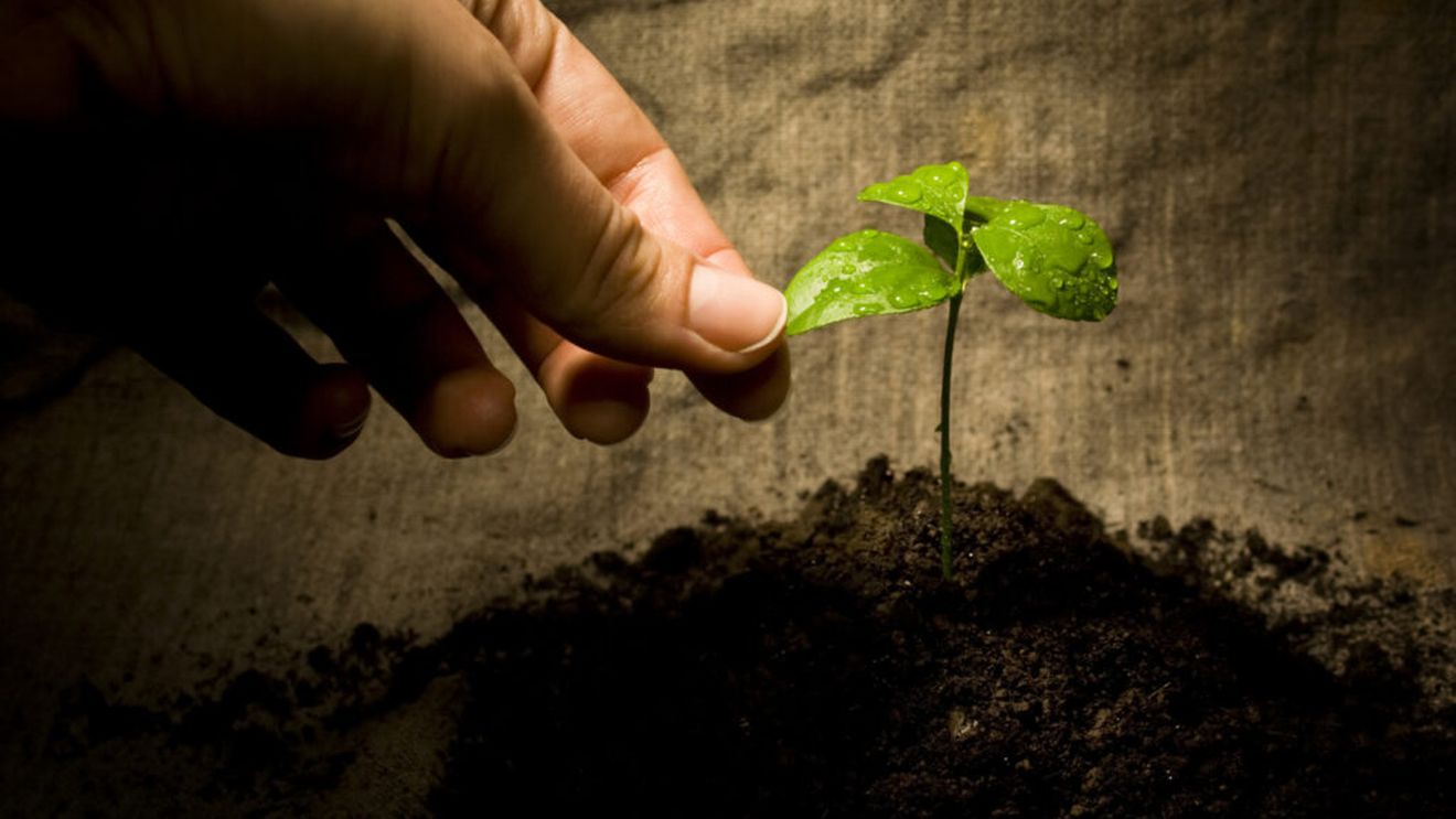 Germania blochează prima lege europeană a solului, deși majoritatea statelor membre o susțin / Directiva nu impune obligații noi pentru fermieri sau silvicultori, ci doar ca statele membre să urmărească și să îmbunătățească sănătatea solului