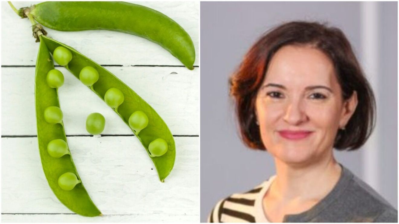 Despre mazăre, numai de bine/ Nutriționistul Tania Fântână ne recomandă această proteină vegetală care susține masa musculară și oferă sațietate