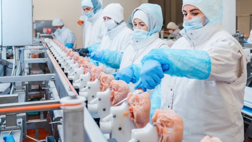 Marea Britanie exclude relaxarea standardelor alimentare în orice acord comercial cu SUA/ Practici frecvente în industria alimentară din SUA şi Canada, precum spălarea puiului crud în apă clorinată sau administrarea de hormoni de creştere bovinelor, sunt interzise în Marea Britanie şi Uniunea Europeană