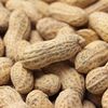 Alergia la arahide ar putea fi tratată cu ajutorul bacteriilor „bune” din intestin. Un studiu deschide o nouă direcție de cercetare