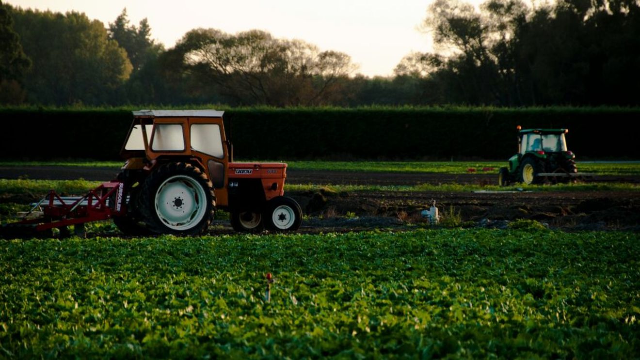 Agricultura ecologică prinde teren în Brăila: peste 12.300 de hectare sunt exploatate în sistem bio
