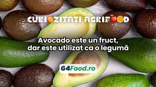 Curiozități agri-food 04 decembrie: Avocado este un fruct, dar este utilizat ca o legumă