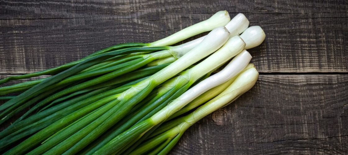 Tot ce trebuie să știi când alegi o ceapă. Lucian Dragomir, legumicultor: „Dacă ceapa verde are tija dreptunghiulară/cu unghiuri ascuțite atunci ea provine dintr-o ceapă veche și este mai aspră, mai iute. Cea cu tulpina perfect cilindrică e mai fragedă și mai dulce”