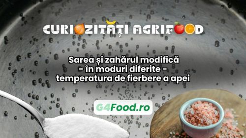 Curiozități agrifood, 13 ianuarie: Sarea și zahărul modifică - în moduri diferite - temperatura de fierbere a apei