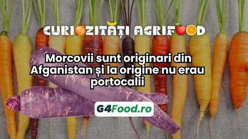 Curiozități agrifood – 04 noiembrie: Morcovii sunt originari din Afganistan și la origine nu erau portocalii