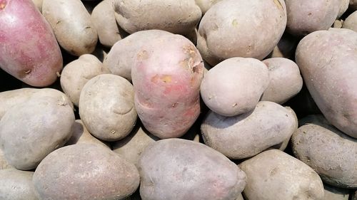 Polonia și România au câștigat milioane de dolari din exportul de legume pe piața din Ucraina, în timp ce organizațiile fermierilor polonezi și români au cerut stoparea importurilor de mărfuri agricole din țara atacată militar de Rusia