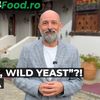 VIDEO | Connaisseur fără ifose (Ep. 95) | Vinurile cu „drojdii sălbatice”, noul trend în lumea vinului. Ce sunt și ce gust au