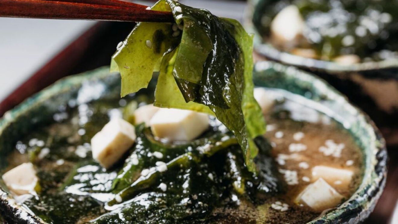 Gustul contează. Ce urmează după umami? Oamenii de știință caută al șaselea gust de bază, după cel dulce, acru, amar, sărat, și umami