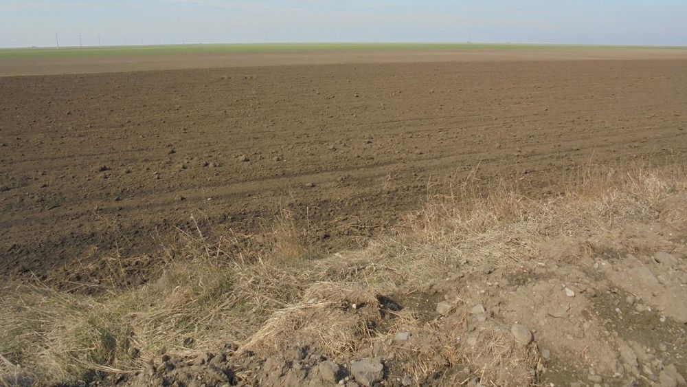 Din cauza unor plăți efectuate eronat către fermieri, România nu va mai beneficia de un decont de peste 70.000.000 de euro din bugetul european, a doua cea mai mare sumă la nivelul UE, după Grecia