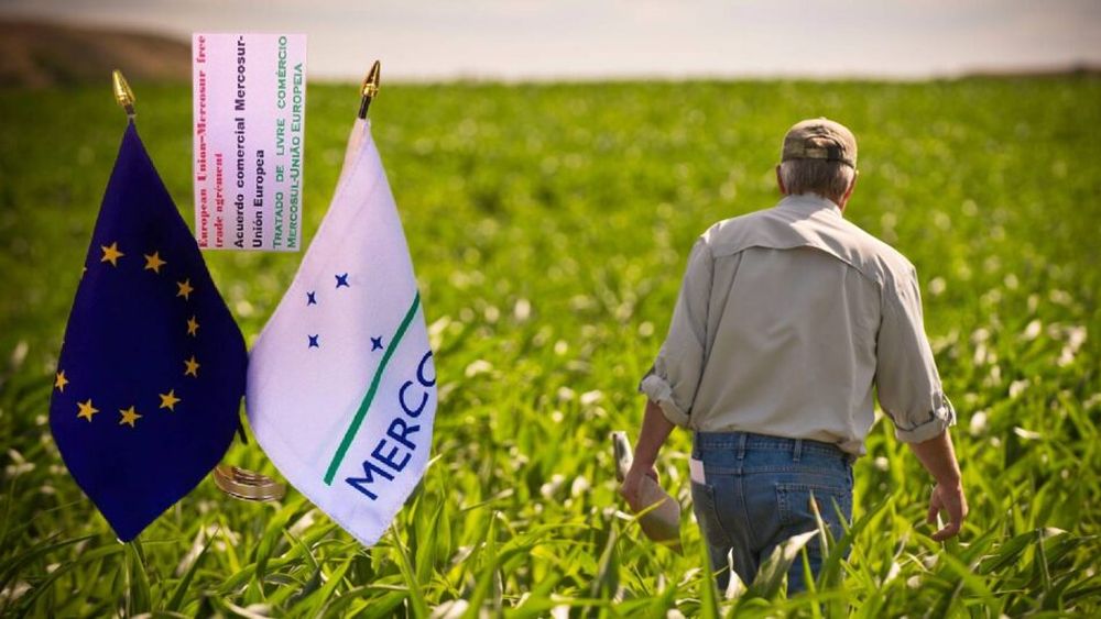 ANALIZĂ | Acordul UE cu Mercosur, un sprijin sau o piatră de moară pentru fermierii europeni? / Daniel Buda (europarlamentar): „Există riscul să devenim dependenți de importul de alimente din afara Uniunii Europene” / Ce soluții există