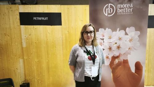 VIDEO | Anamaria cultivă cireșe în Spania și exportă în toată Europa, inclusiv în România / Lucrează cu muncitori români, care în fiecare an revin în Peninsula Iberică pentru a recolta fructele / „Cireașa este un produs sensibil, trebuie culeasă cu grijă, cu precizie”