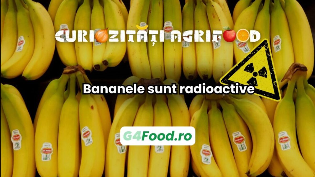 Curiozitate 06 februarie: Bananele sunt radioactive / Conțin potasiu-40, un izotop radioactiv natural / Totuși, nivelul de radiație este foarte scăzut și inofensiv pentru sănătate