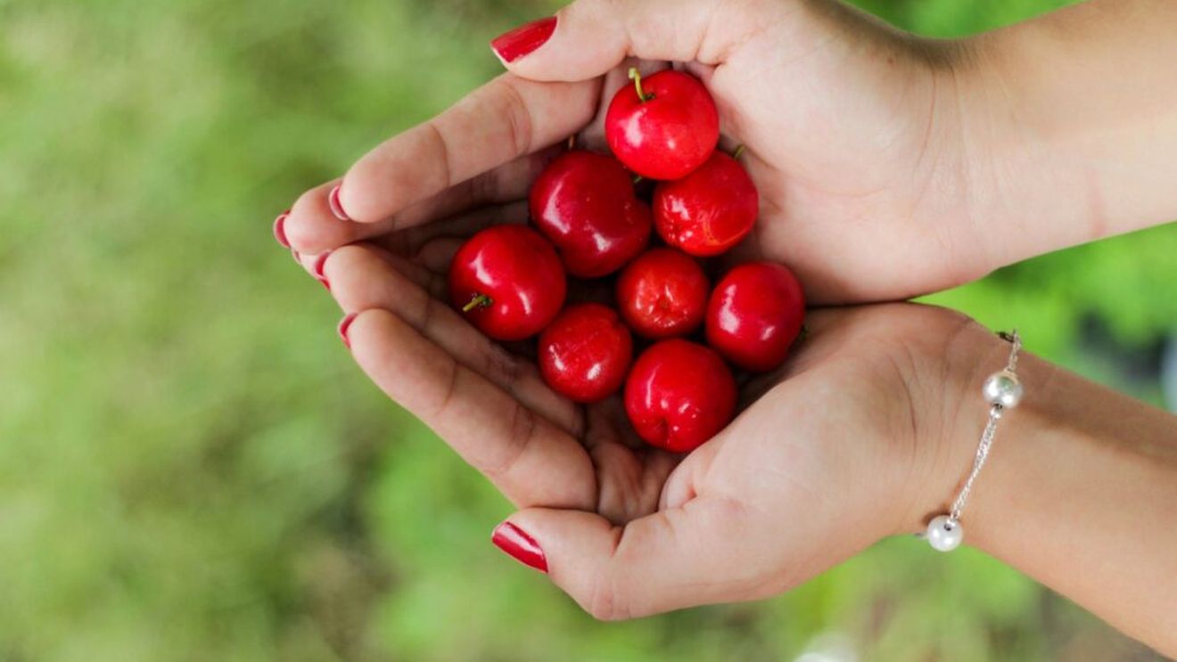 Acerola, fructul exotic cu aspect de cireașă. Produce colagen, combate inflamația și îți înfrumusețează pielea
