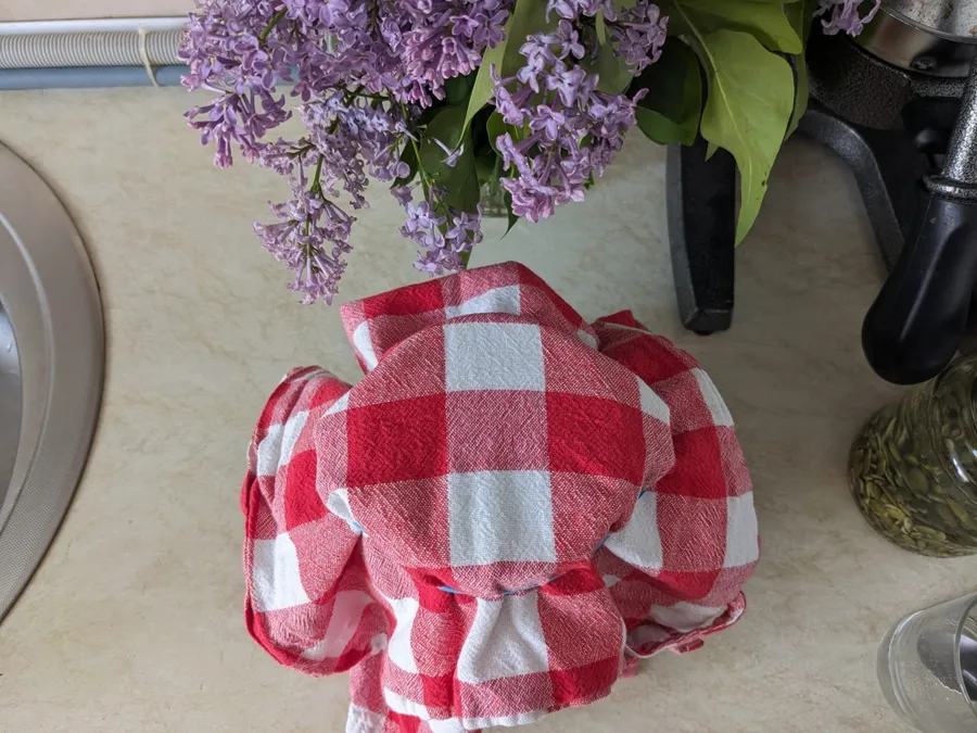 kombucha, post intermitent, bautura, alimente fermentate