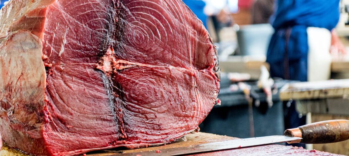 Carnea de vită poate decide soarta acordului comercial dintre UE și Australia / Ursula von der Leyen merge la Canberra pentru negocierile finale