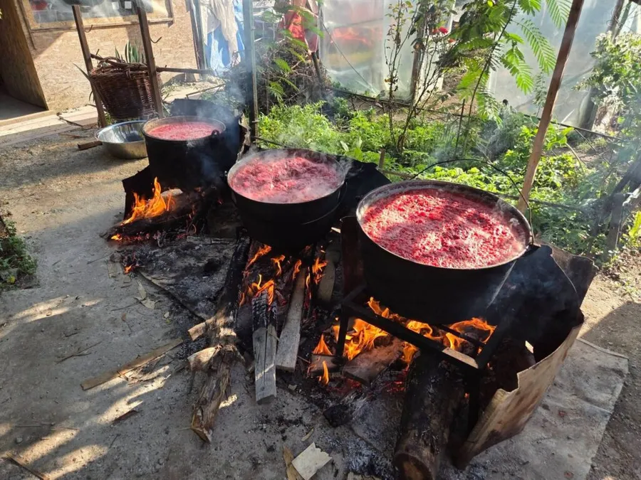 magiun-de-pepeni-branesti-magiun-traditional-pepene-verde-traditii-culinare-patrimoniu-gastronomic-retete-traditionale-ilfov