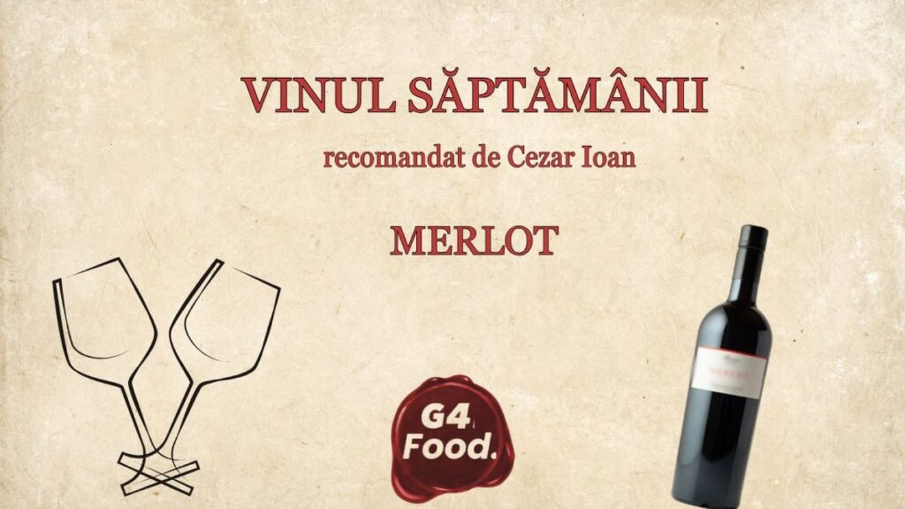 VIDEO | Vinul săptămânii | De ce soiul Merlot rămâne un reper pentru iubitorii de vin / Cezar Ioan (wine expert): „Merge foarte bine cu gastronomia”