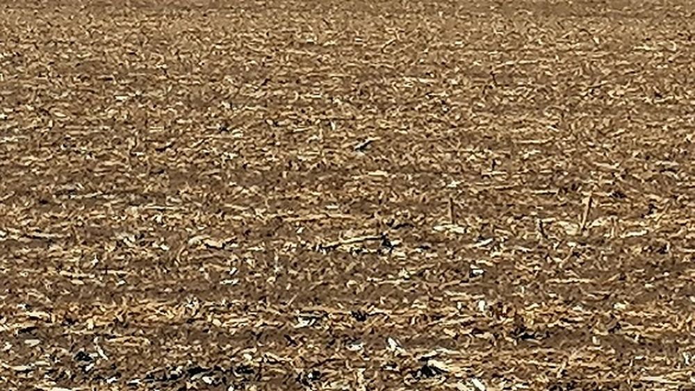 Cine sunt liderii grupului civic de acțiune al fermierilor dobrogeni; unul dintre ei candidează pentru postul de președinte al C.J. Constanța