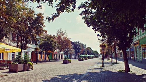 Cină comunitară de Paşte, în centrul istoric al municipiului Bistrița / La eveniment va predomina culoarea albastră, în semn de susținere a persoanelor cu autism