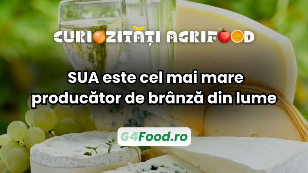 Curiozitate agri-food: SUA, cel mai mare producător de brânză din lume / Franța rămâne campioana gustului, dar nu și a volumului