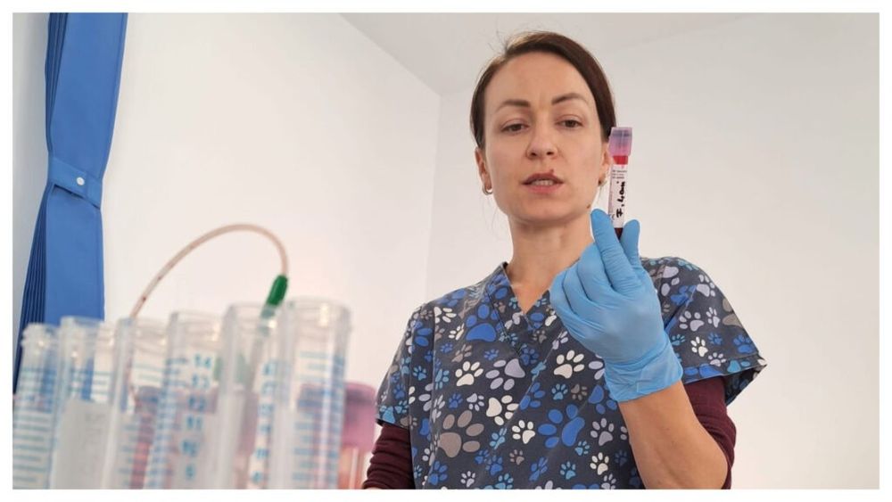 Premieră pentru USAMV Cluj-Napoca: Cadru didactic la Facultatea de Medicină Veterinară, primul Diplomat european în Parazitologie Veterinară