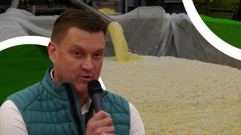 FOTO-VIDEO | Cum a ajuns o cooperativă din Harghita să proceseze zilnic până la 6.000 de litri de lapte de la fermierii locali: „Ne-am adaptat la situație. Prețul laptelui era foarte, foarte scăzut”