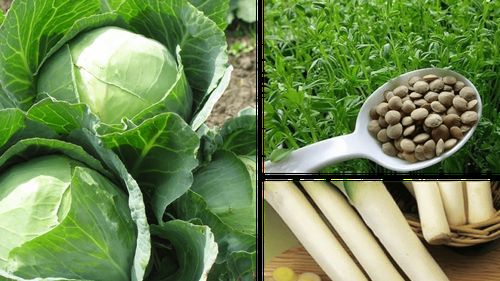 Istoria gusturilor la români (Ep. 7) | Varza, fasolea și prazul, constante ale bucătăriei românești. Dar ne aparțin, oare, numai nouă?