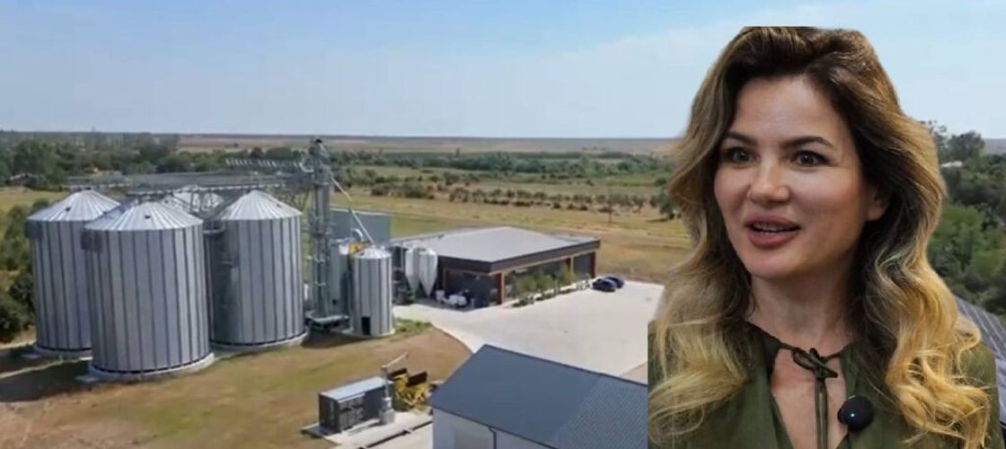 VIDEO | Fermier cu valoare adăugată | O fermă ecologică din Argeș a investit într-o moară cu pietre și o presă de ulei cu ajutorul fondurilor europene. Acum produce ulei din floarea-soarelui high-oleic și făină integrală BIO / „După atâta industrializare, am realizat că tehnicile simple sunt mai sănătoase”